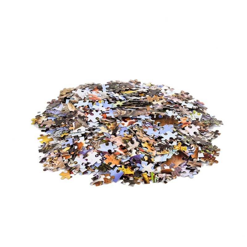 500/1000/1200/2000pcs paper Ji - огляд і ціна Jigsaw Puzzle Adult